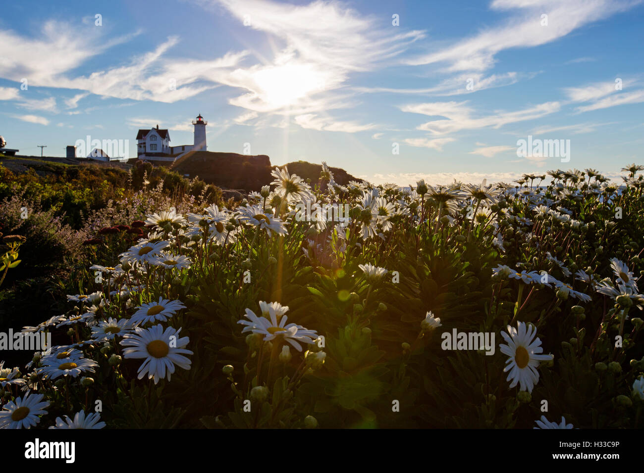 Nubble Light - Cape Neddick Faro - Sohier Park - York Maine Foto Stock