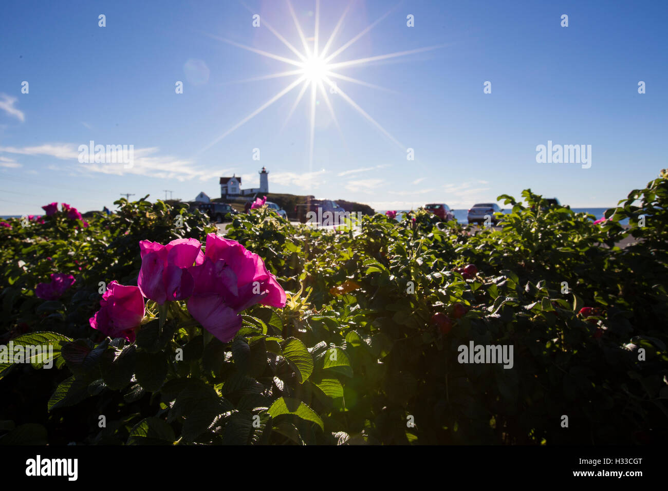 Nubble Light - Cape Neddick Faro - Sohier Park - York Maine Foto Stock