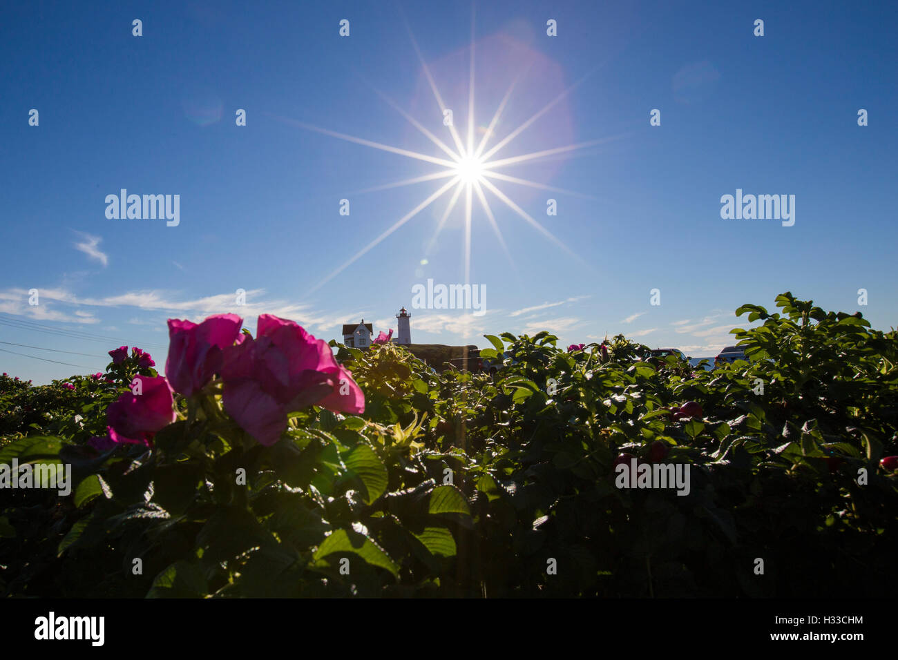 Nubble Light - Cape Neddick Faro - Sohier Park - York Maine Foto Stock