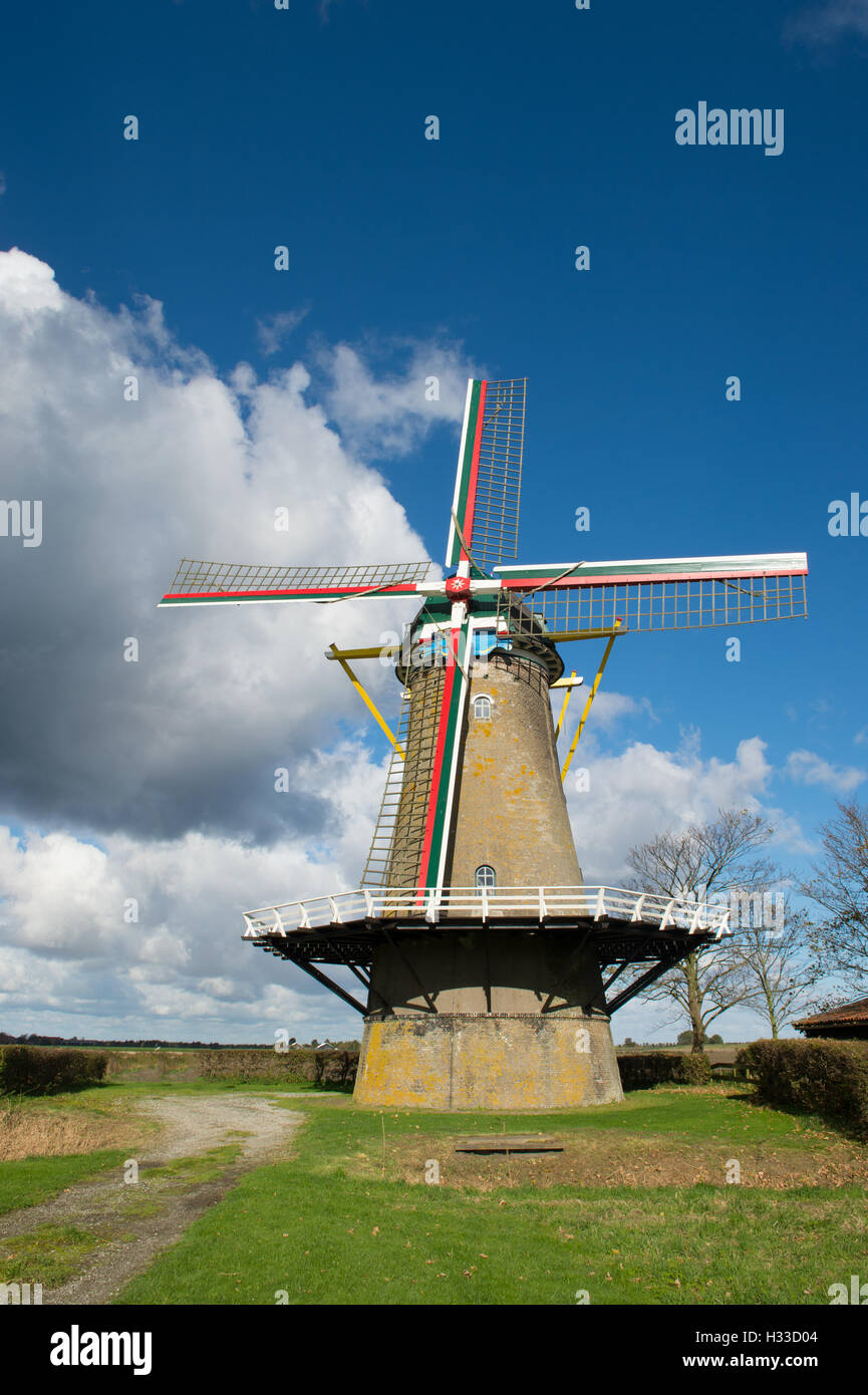 Mulino a vento olandese Foto Stock