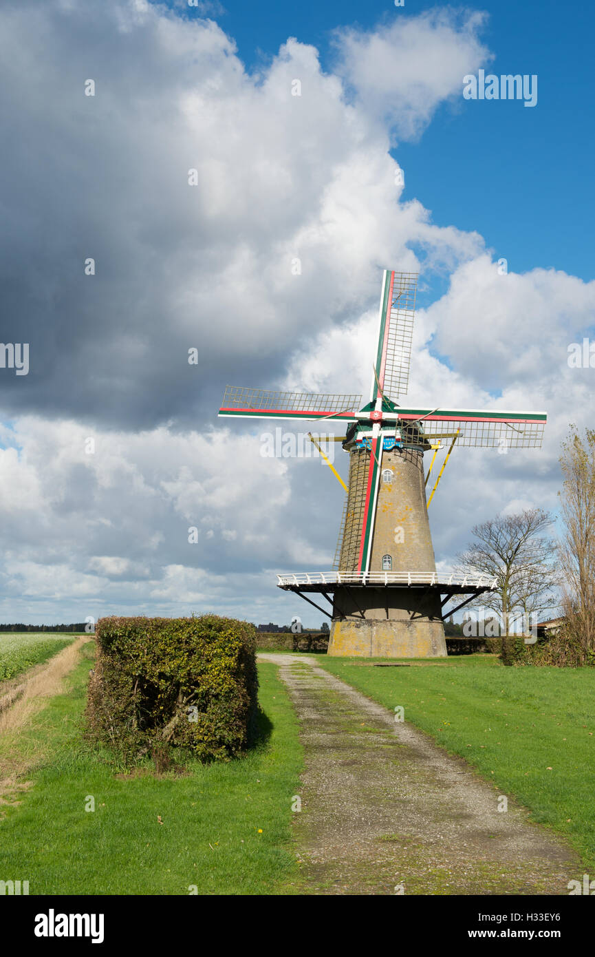 Mulino a vento olandese Foto Stock