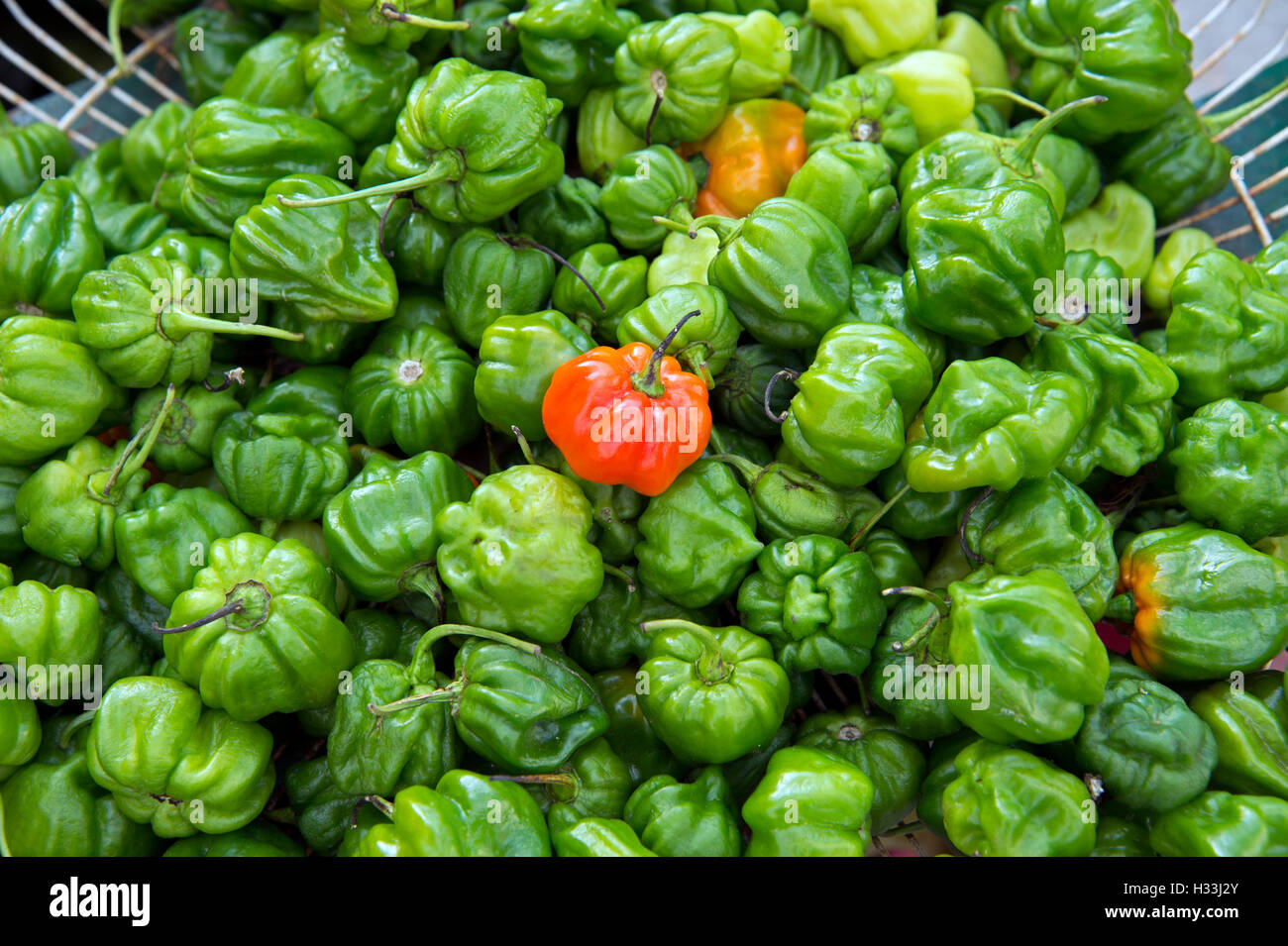 Un rosso chilie sorge sulla sommità di una pila di peperoncini verdi su un cubano bancarella di strada Cienfuegos Cuba Foto Stock