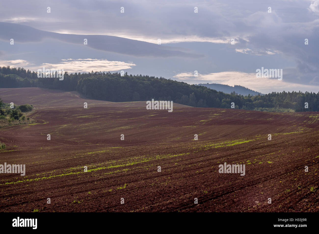 Ottobre sopito tramonto rosso-marrone colline ondulate Foto Stock