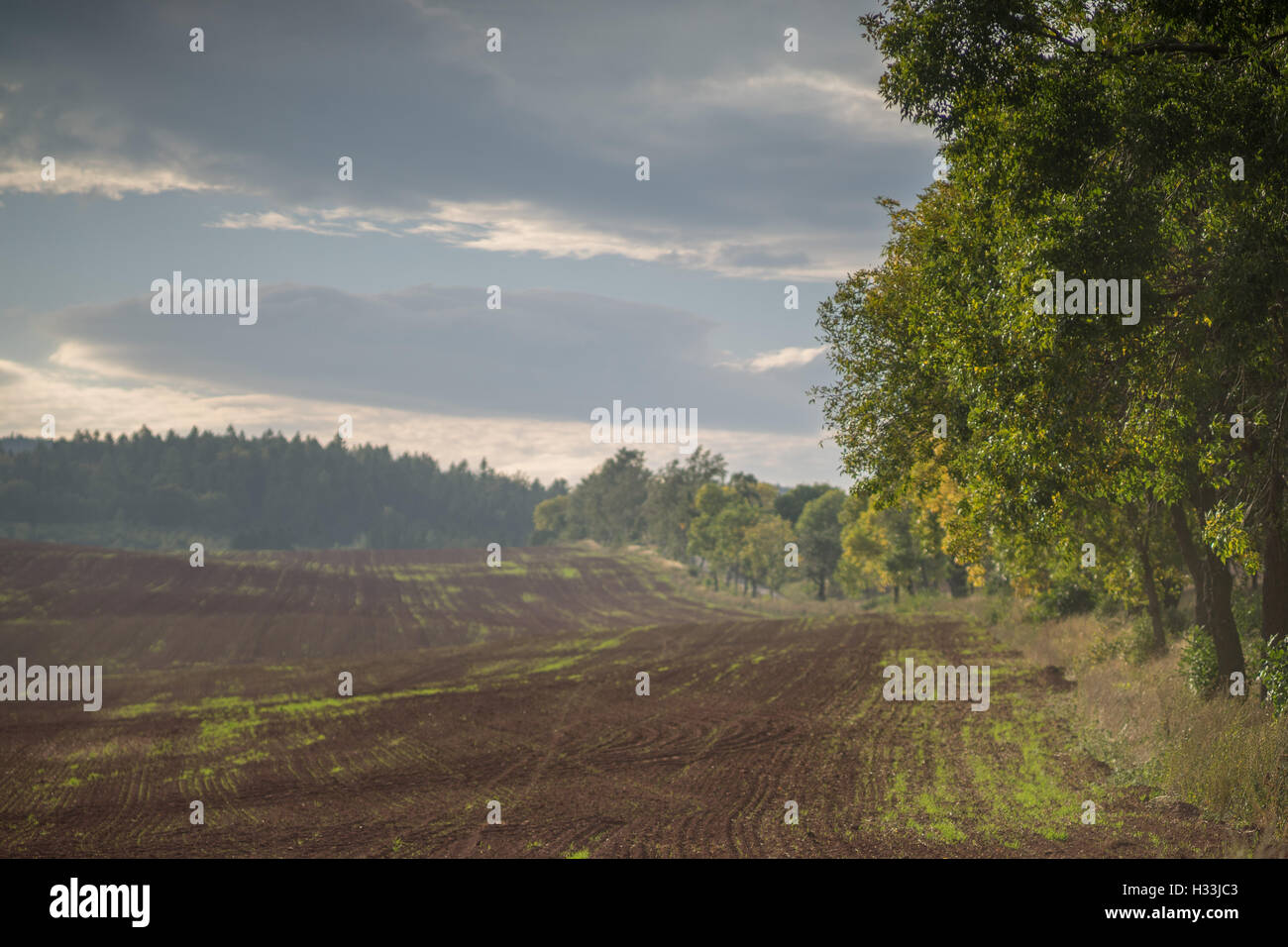 Ottobre sopito tramonto rosso-marrone colline ondulate Foto Stock
