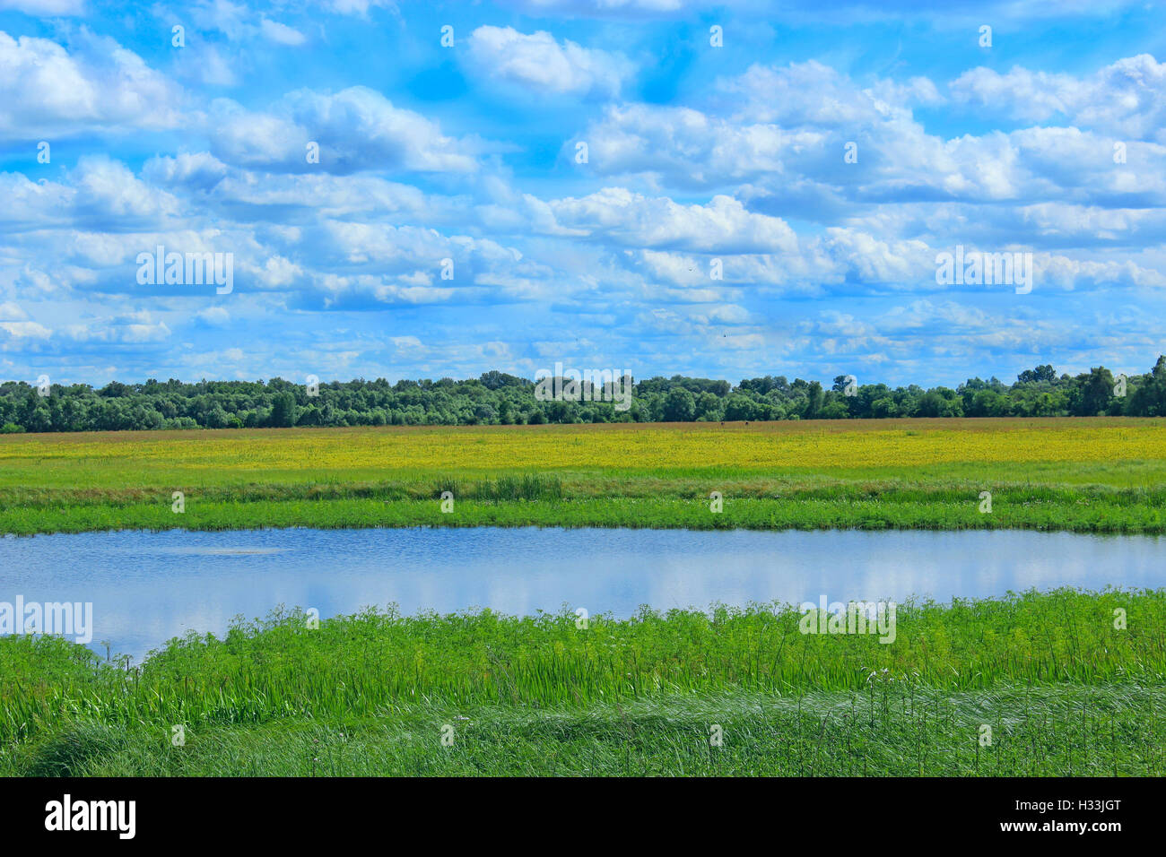 Bella estate paesaggio con il lago di campo e le nuvole. La natura con la foresta fiume e pascolo Foto Stock