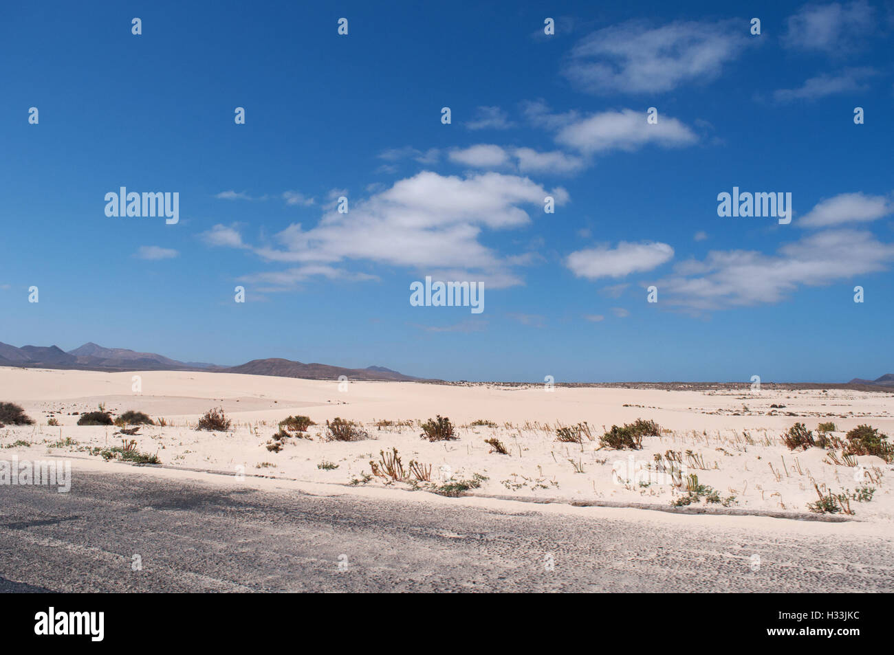 Fuerteventura Isole Canarie, Nord Africa, Spagna: il paesaggio del deserto e le dune di Corralejo parco naturale Foto Stock