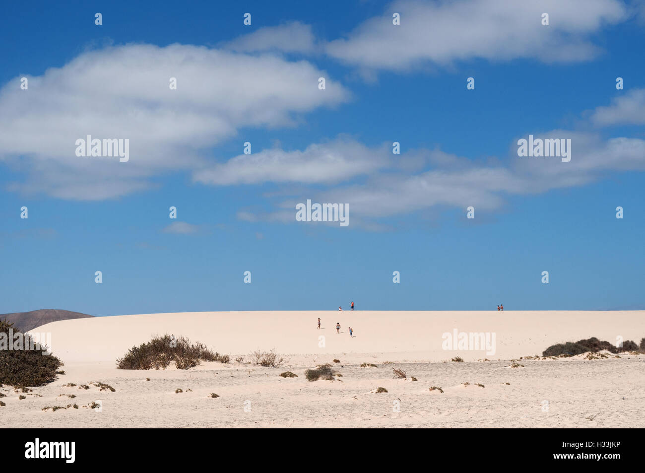 Fuerteventura Isole Canarie, Nord Africa, Spagna: il paesaggio del deserto e le dune di Corralejo parco naturale Foto Stock