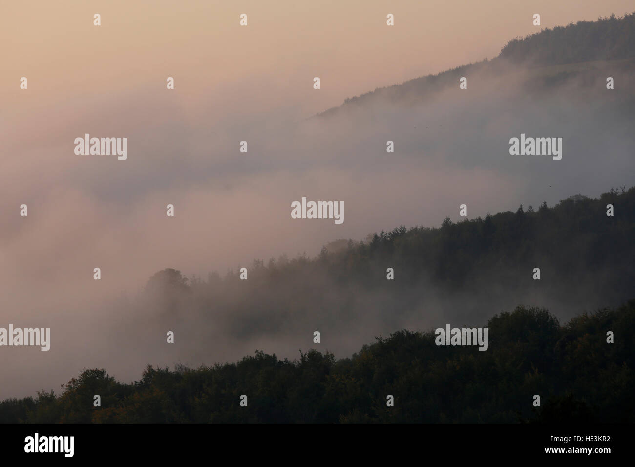 Il Rising Sun provoca un bagliore rosa attraverso la foschia sopra il South Downs National Park a Houghton vicino a Arundel in West Sussex, Regno Unito Fr Foto Stock