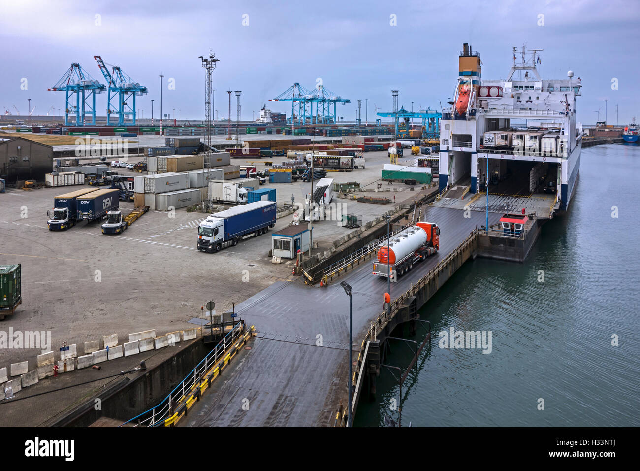 I carrelli di salire a bordo del roll-on/roll-off / roro su una nave da carico foro mv canzone da P&O Ferries nel porto di Zeebrugge, Belgio Foto Stock