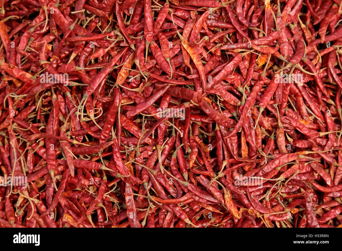 Close-up di coloratissimi red hot chili peppers Foto Stock