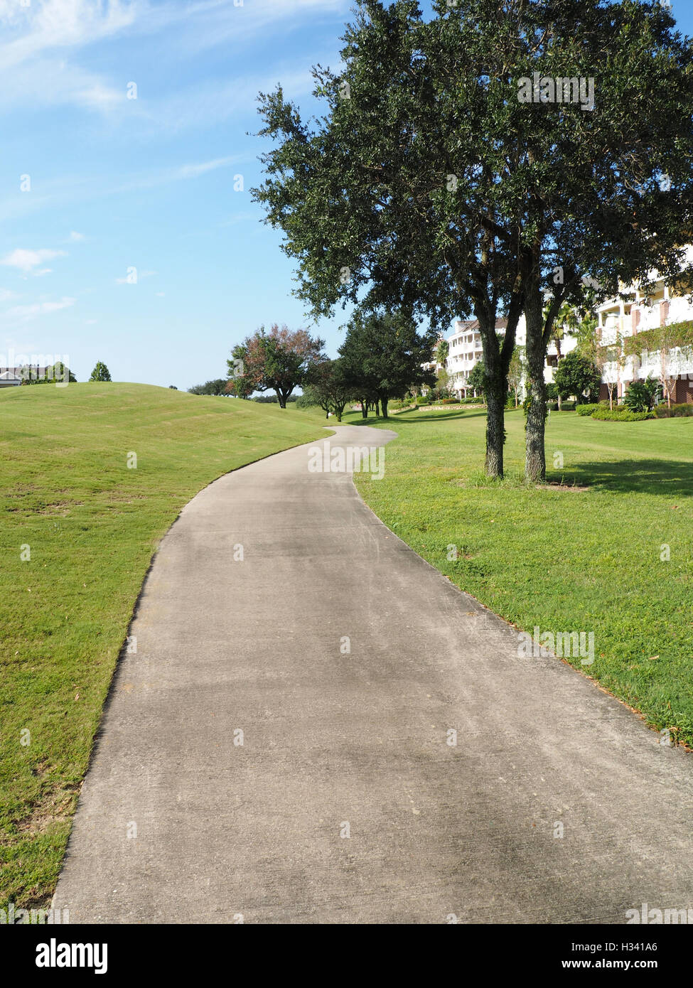 Macadam il percorso o la passerella da una grande area di erba e alberi Foto Stock