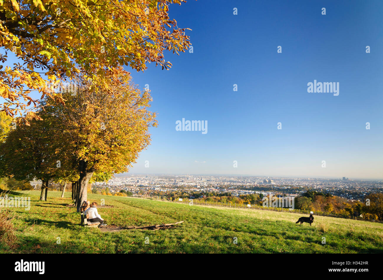Wien, Vienna: Vista di Vienna dalla collina 'Himmel", 00., Wien, Austria Foto Stock