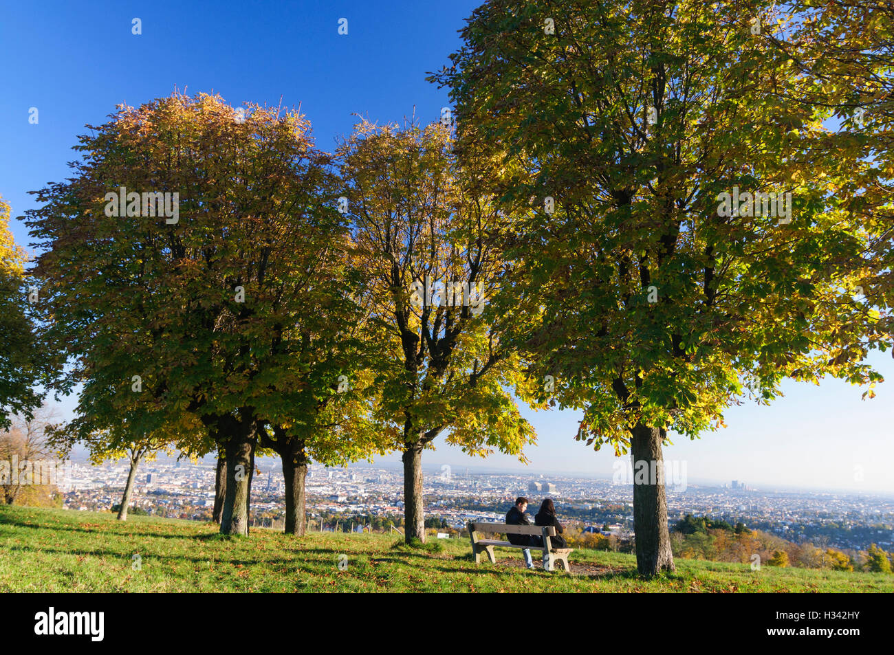 Wien, Vienna: Vista di Vienna dalla collina 'Himmel", 00., Wien, Austria Foto Stock