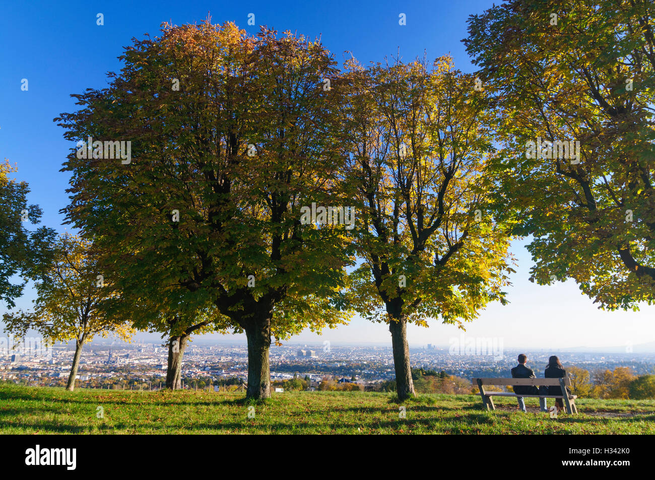 Wien, Vienna: Vista di Vienna dalla collina 'Himmel", 00., Wien, Austria Foto Stock
