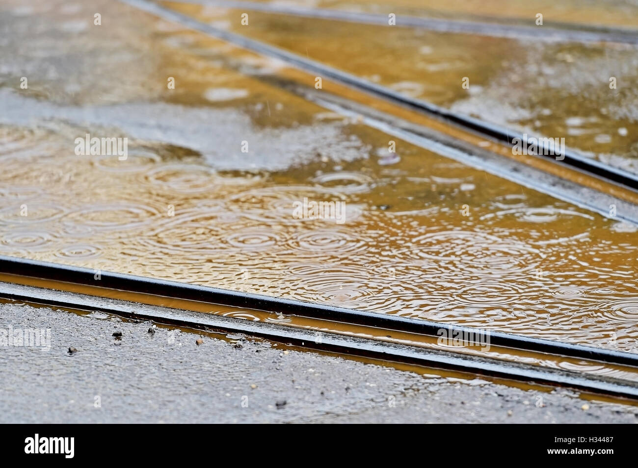 Dettaglio shot con sede tranviaria durante le precipitazioni Foto Stock