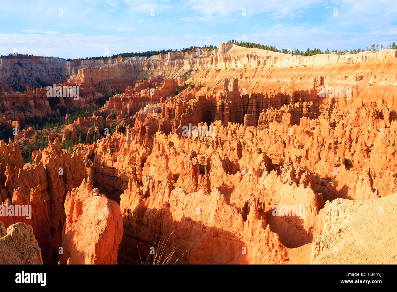 Panorama dal Parco Nazionale di Bryce Canyon, Stati Uniti d'America. Hoodoos, formazioni geologiche. Uno splendido scenario Foto Stock