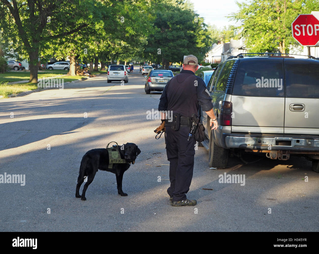 La polizia K9 cerca cane e il gestore, Detroit, Michigan, Stati Uniti d'America Foto Stock