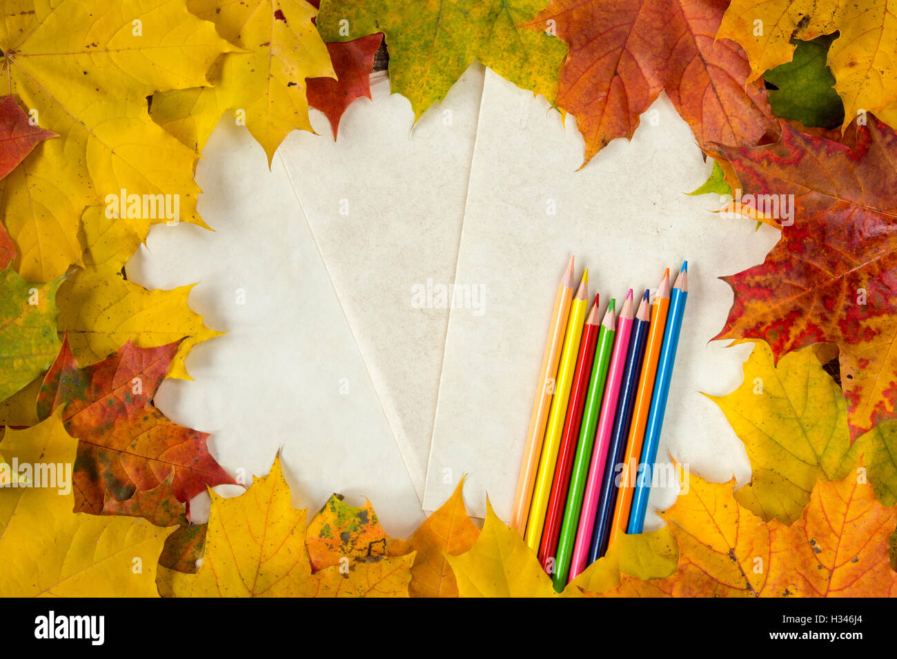 Foglie di autunno e matite di colore su un sfondo della carta. Copy-spazio. Foto Stock