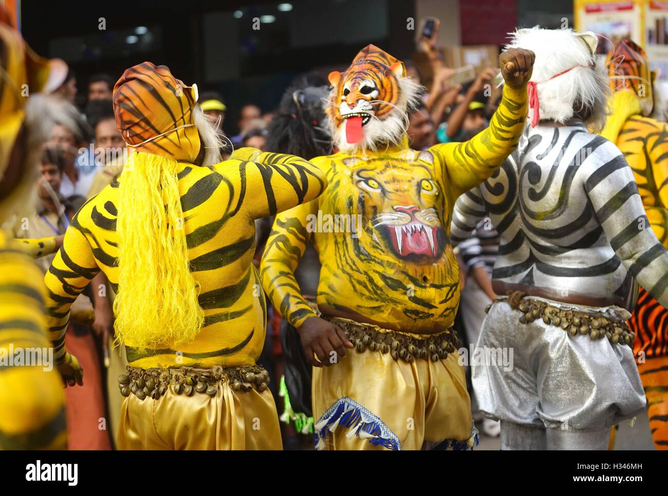 Addestrati danzatori con loro accuratamente i corpi verniciati pretesto di tigri eseguire Pulikali famose strade di Thrissur Kerala Foto Stock