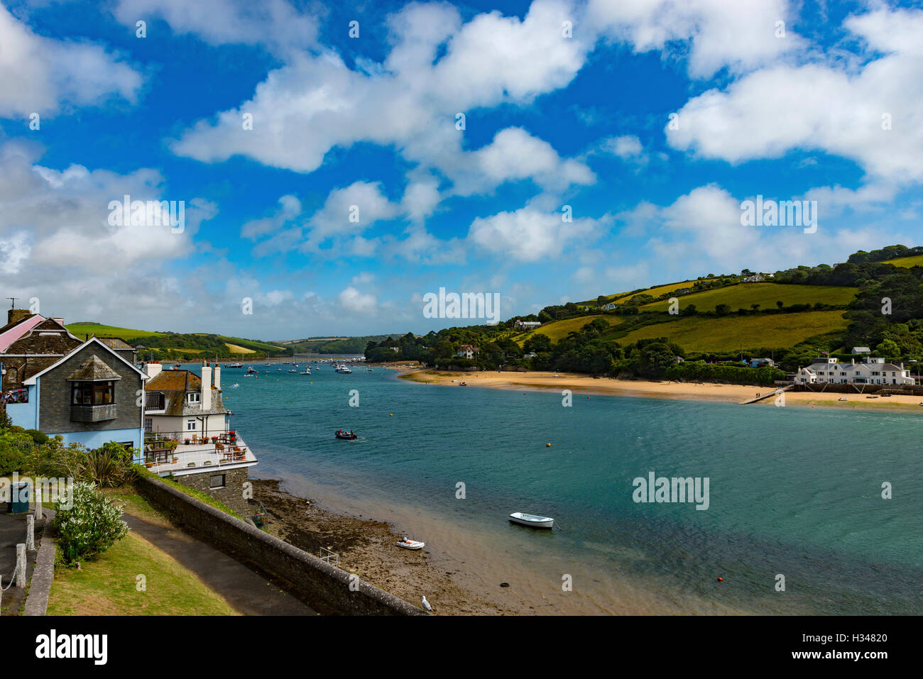 Salcombe Harbour cercando fino alla foce, Sud prosciutti, Devon, Regno Unito Foto Stock