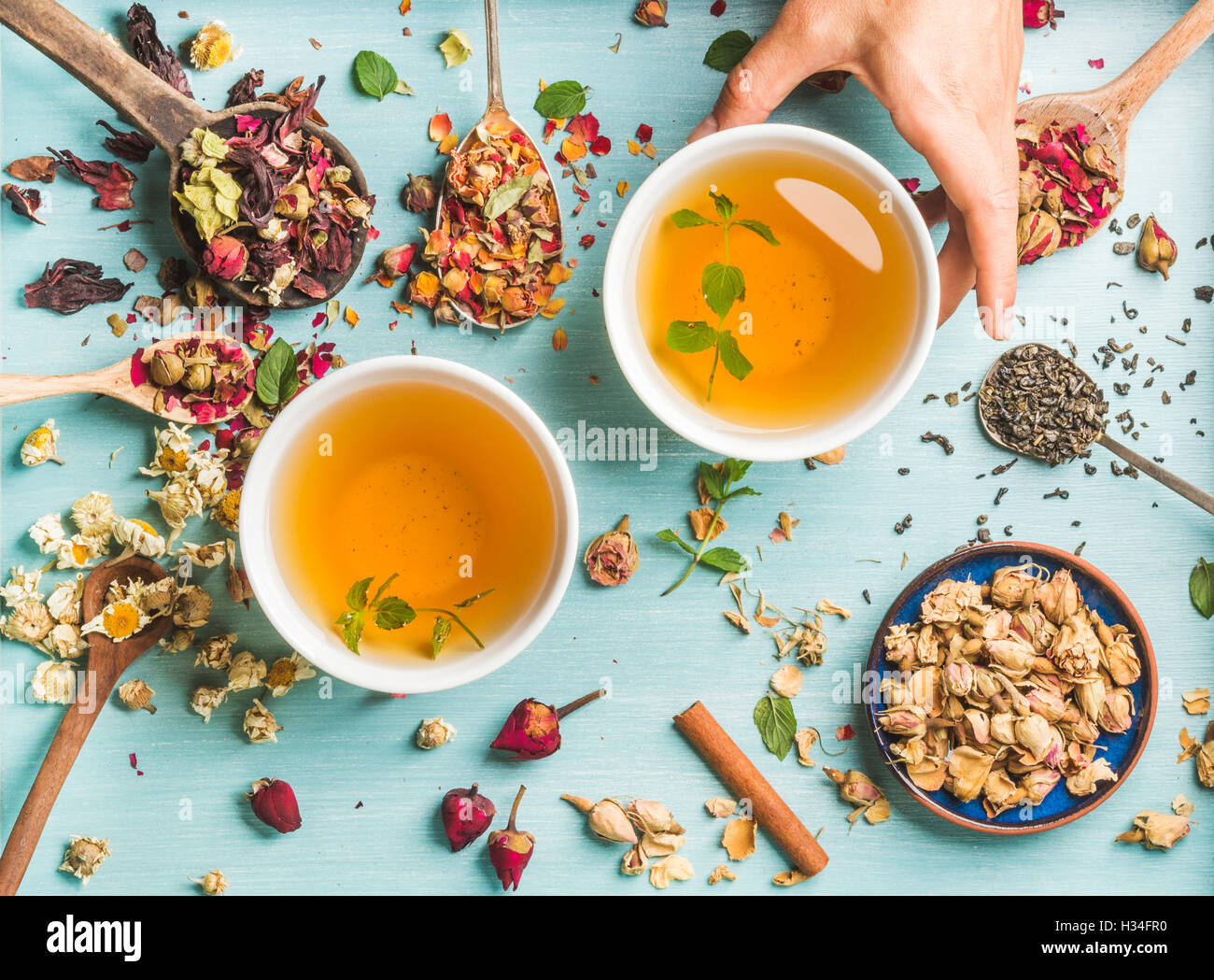Due tazze di sano tè alle erbe con la menta, cannella, essiccato rose e fiori di camomilla in diversi cucchiai, donna di mano che regge una tazza su sfondo blu Foto Stock