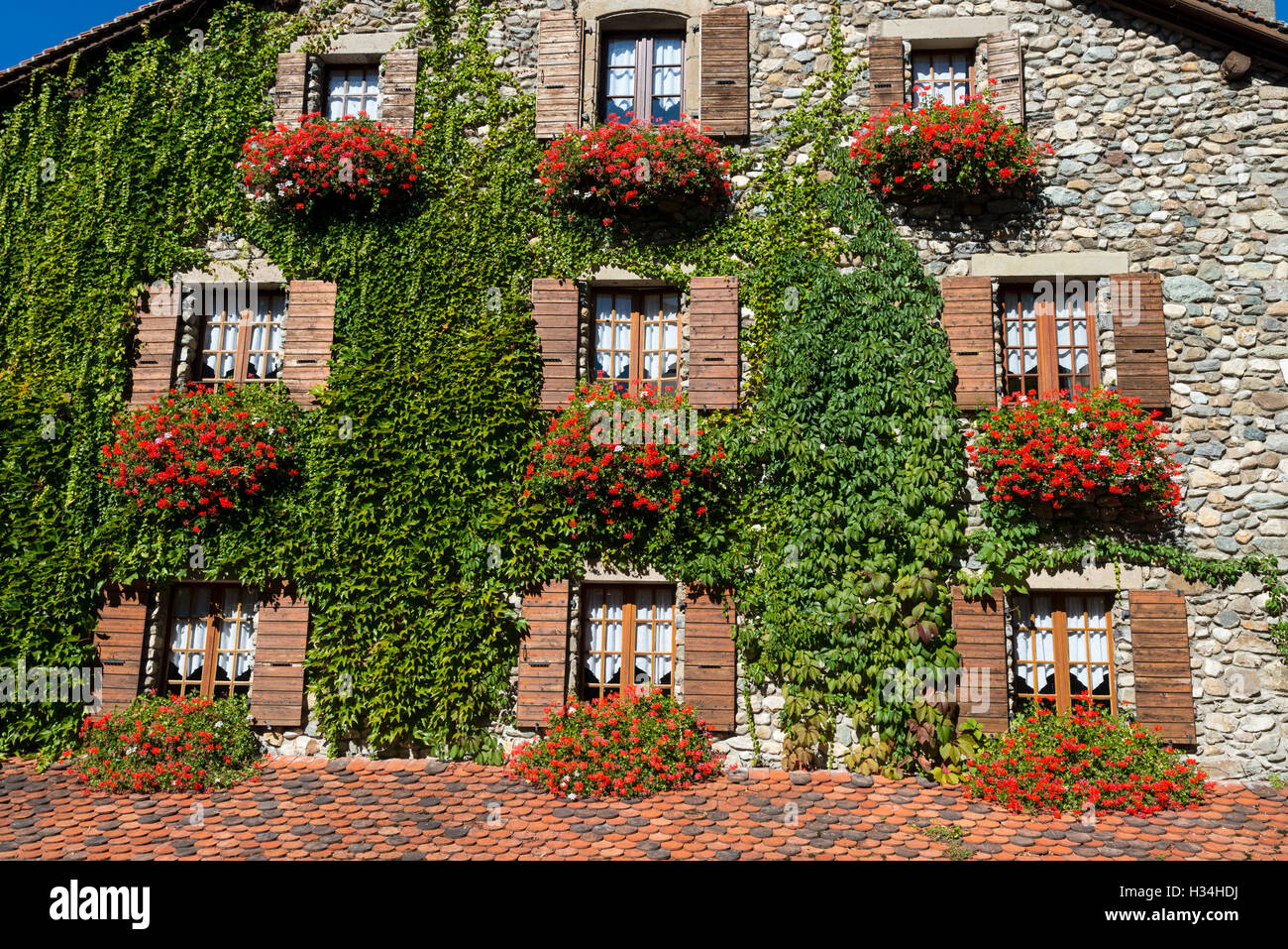 Finestre con vasi di fiori ed edera, medievale villaggio storico di Yvoire, Alta Savoia, Francia Foto Stock