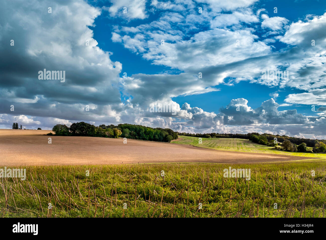Nuvole temporalesche la raccolta su terreni agricoli - Francia. Foto Stock