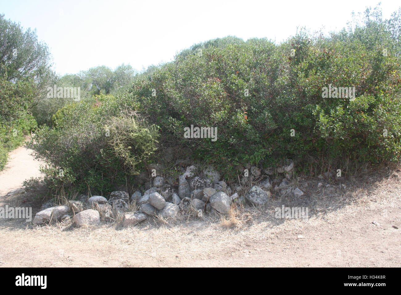 Boccole circondata da rocce e un percorso sterrato Foto Stock