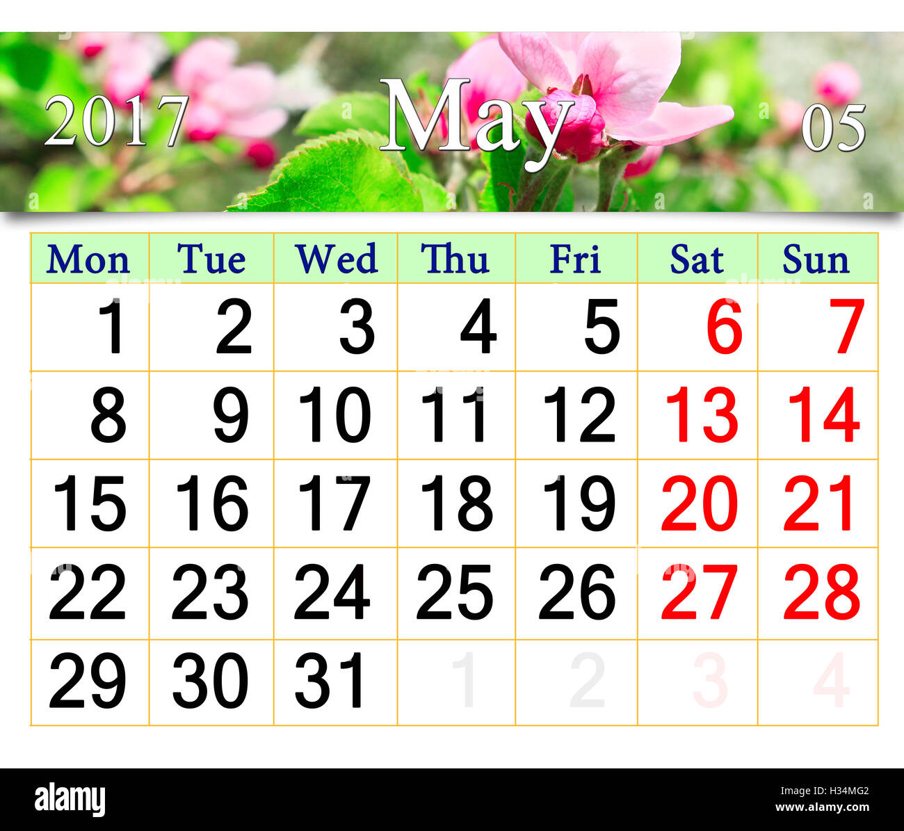 Calendario per il mese di maggio 2017 con nastro di fioritura melo fiori Foto Stock