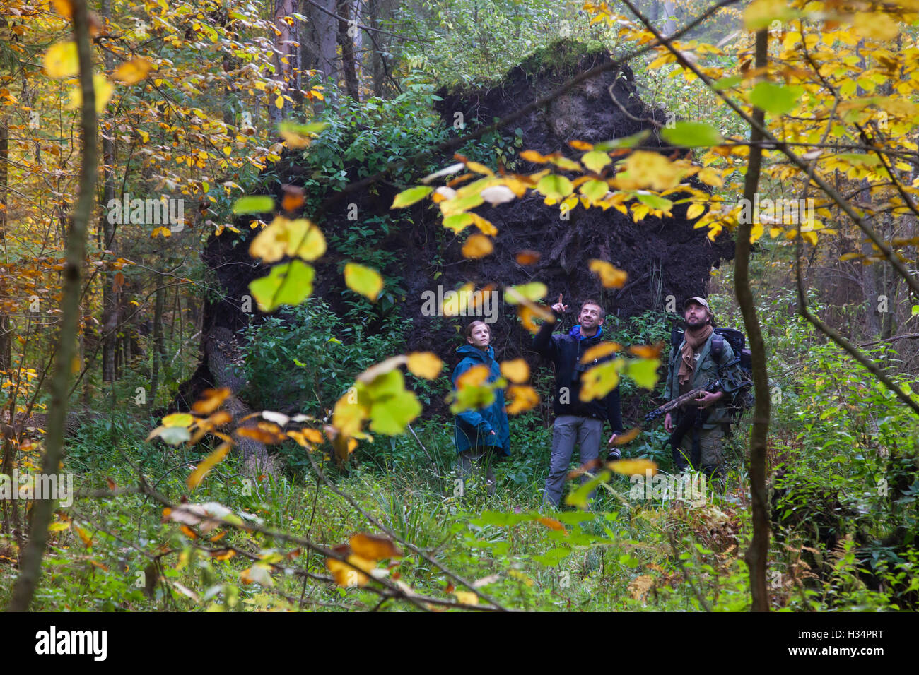 I turisti nella foresta di Bialowieza, Polonia Foto Stock