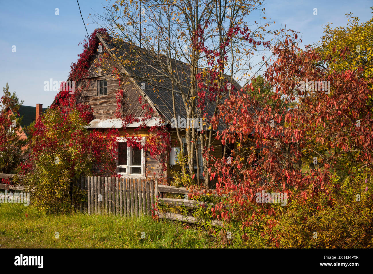 Autunno / autunno in Bialowieza. Architettura in Legno, Podlasie, Polonia, l'Europa. Foto Stock