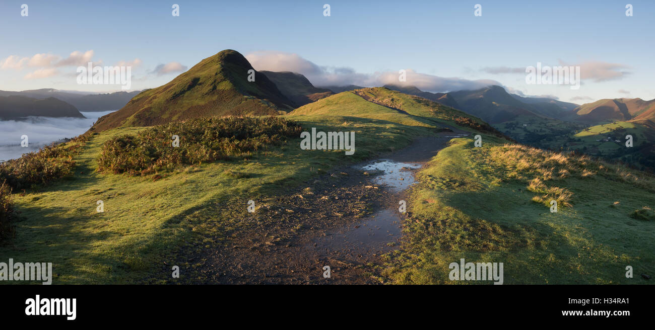 Panorama di Cat campane e il Newlands Valley dalla Banca Skelgill, inglese Lake District National Park, Regno Unito Foto Stock