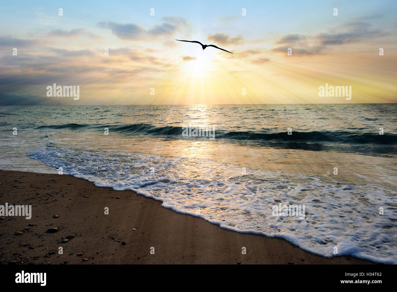 Sunset ocean bird è un oceano etereo scenic con raggi di sole lo scoppio via dal sole di setting come un onda dolce giunge a riva. Foto Stock