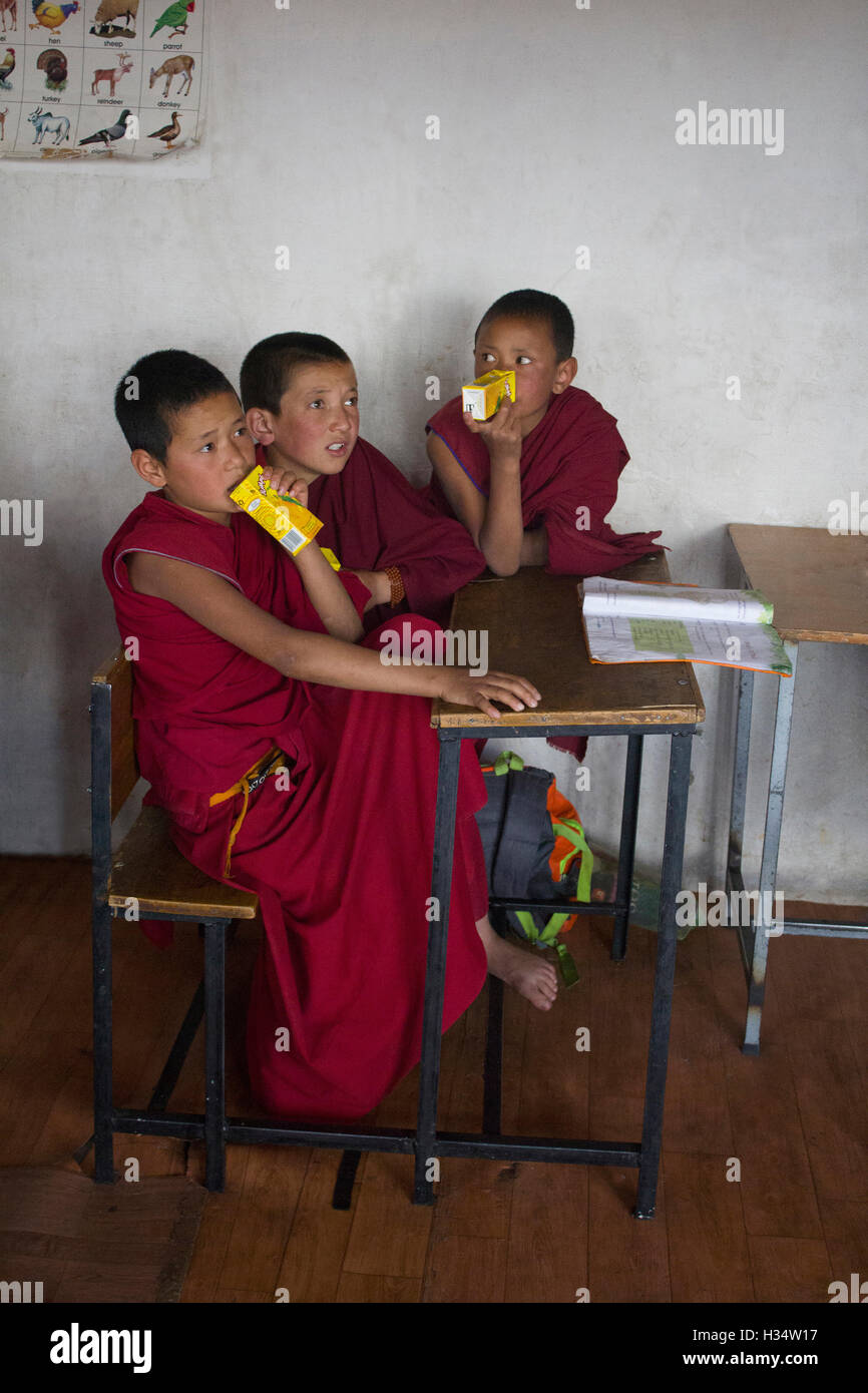 Gli studenti del monastero di Thiksey sorseggiando un drink freddo , Jammu e Kashmir India Foto Stock
