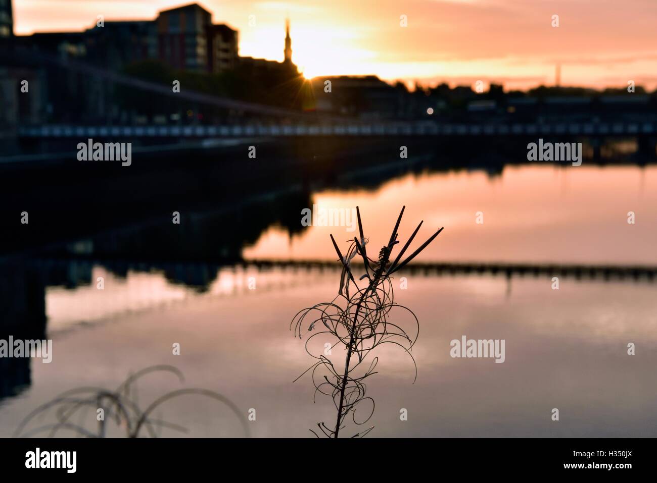 Glasgow, Scotland, Regno Unito. 4 Ottobre, 2016. Regno Unito meteo. Carlton posto ponte di sospensione a sunrise Credito: Tony Clerkson/Alamy Live News Foto Stock