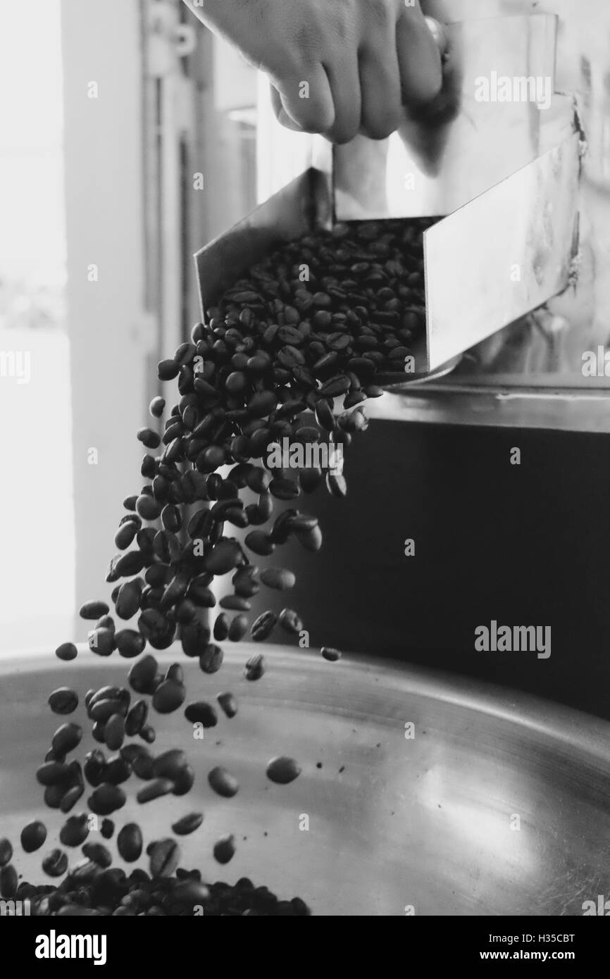 Arabica e Robusta la tostatura del caffè in Bao Loc - Vietnam Foto Stock