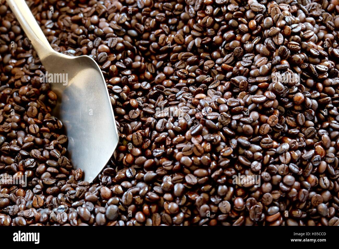 Arabica e Robusta la tostatura del caffè in Bao Loc - Vietnam Foto Stock