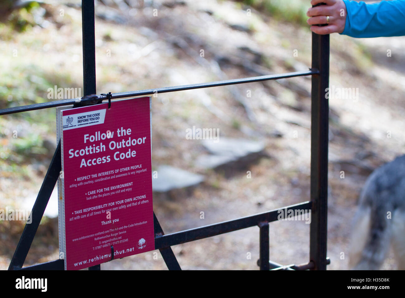 Persona in possesso di gate con seguire la Scottish Outdoor Access Code segno attaccato, Loch un Eilien, Rothiemurchus, Scozia Foto Stock