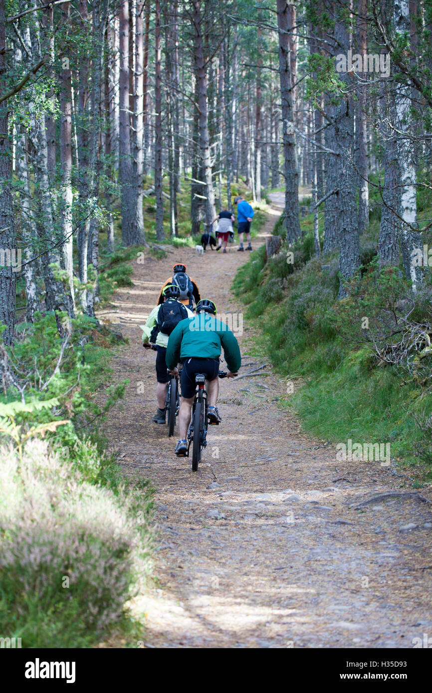 Ciclista e walkers godendo il percorso attorno a Loch un Eilien e attraverso la foresta di Rothiemurchus, Rothiemurchus Estate, Scotland, Regno Unito Foto Stock