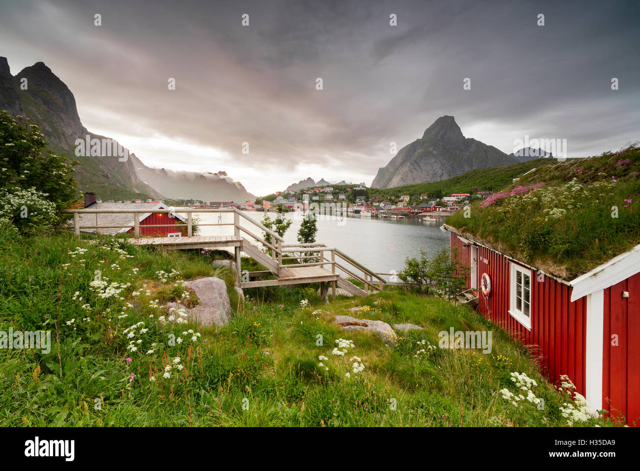 Erba verde e fiori cornice la tipica Rorbu circondata dal mare, la Reine, Nordland county, Isole Lofoten artico, Norvegia Foto Stock