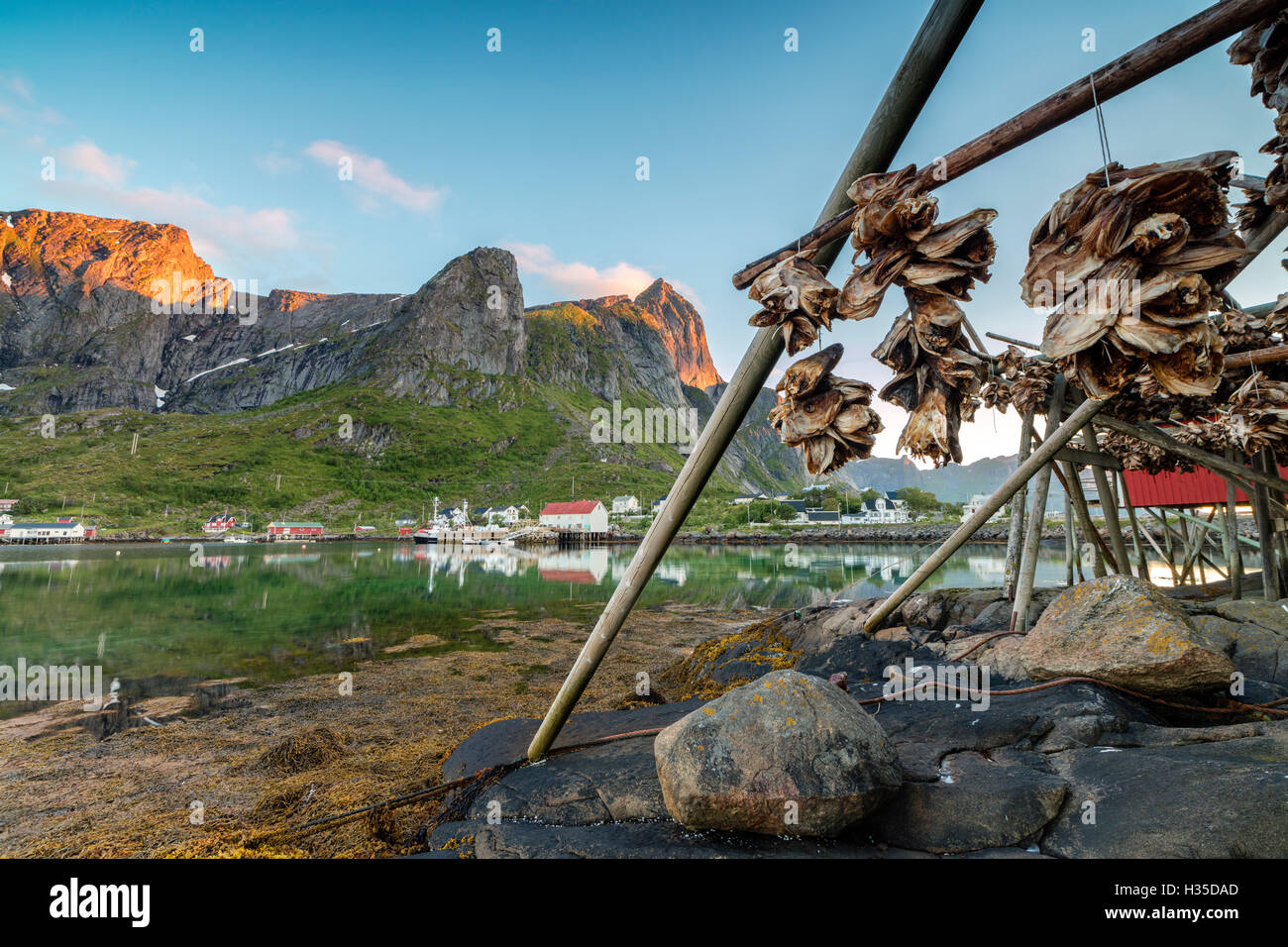 Il sole di mezzanotte su pesci secchi incorniciati da villaggio di pescatori e di picchi, Reine, Nordland county, Isole Lofoten artico, Norvegia Foto Stock