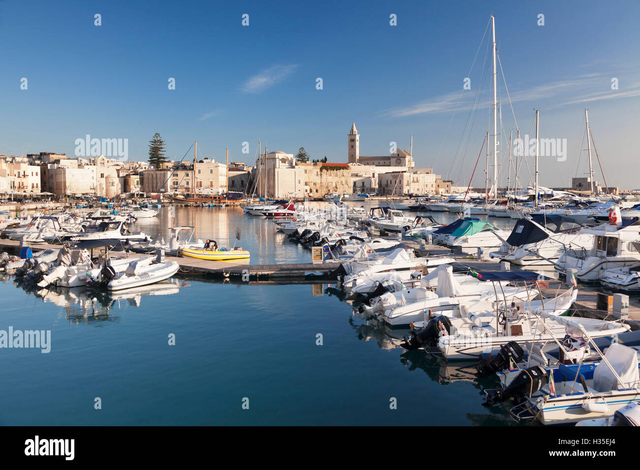 Vista sul porto di San Nicola Pellegrino, Cattedrale di Trani, le Murge, Barletta-Andria-Trani distretto, Puglia, Italia Foto Stock