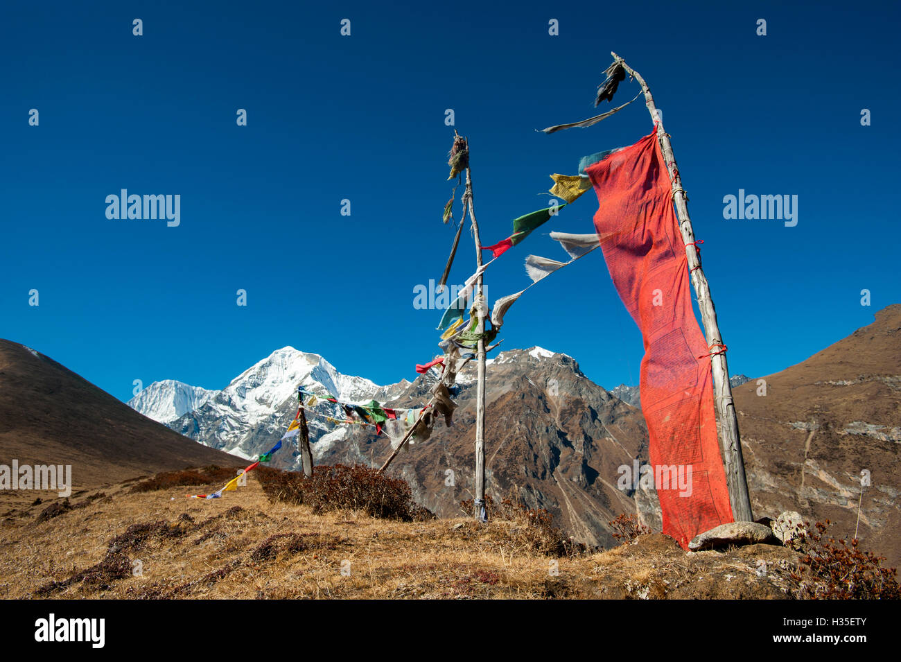Preghiere bandiere a Lasa-Gasa percorso di trekking, Thimpu distretto, Bhutan Foto Stock