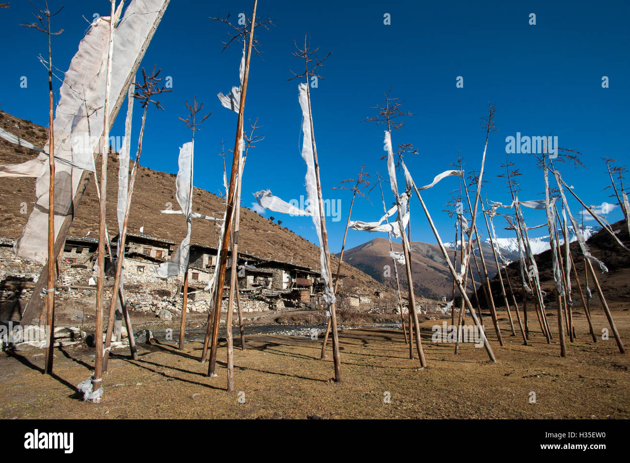 Bandiere di preghiera presso il piccolo villaggio di Chebisa nel nord del Bhutan sulla Laya-Gasa percorso di trekking, Thimpu distretto, Bhutan Foto Stock