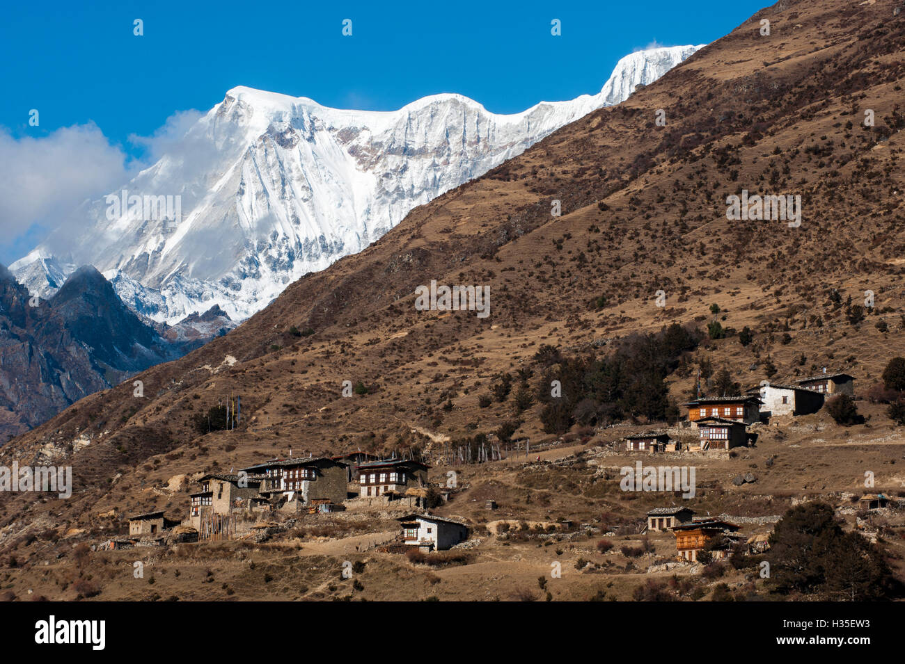 Il bel villaggio di Laya in Himalaya, Bhutan Foto Stock