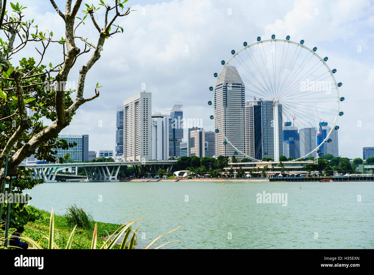 Il Singapore Flyer ruota panoramica Ferris, Marina Bay, Singapore Foto Stock