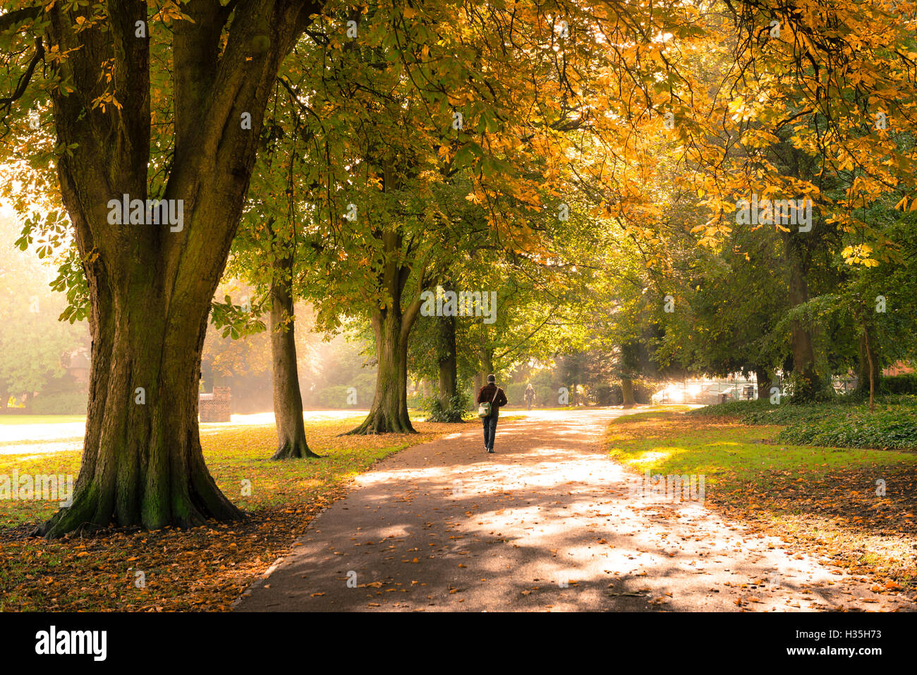 Persona che cammina da sola a West Park, Wolverhampton, England, Regno Unito Foto Stock