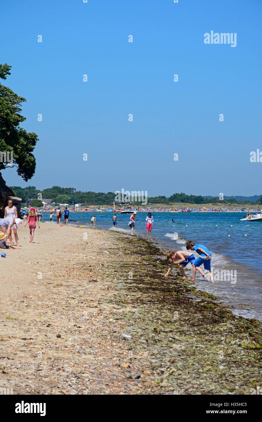 Vista lungo la spiaggia di villeggianti godendo il sole estivo, Studland Bay, Dorset, Inghilterra, Regno Unito, Europa occidentale. Foto Stock