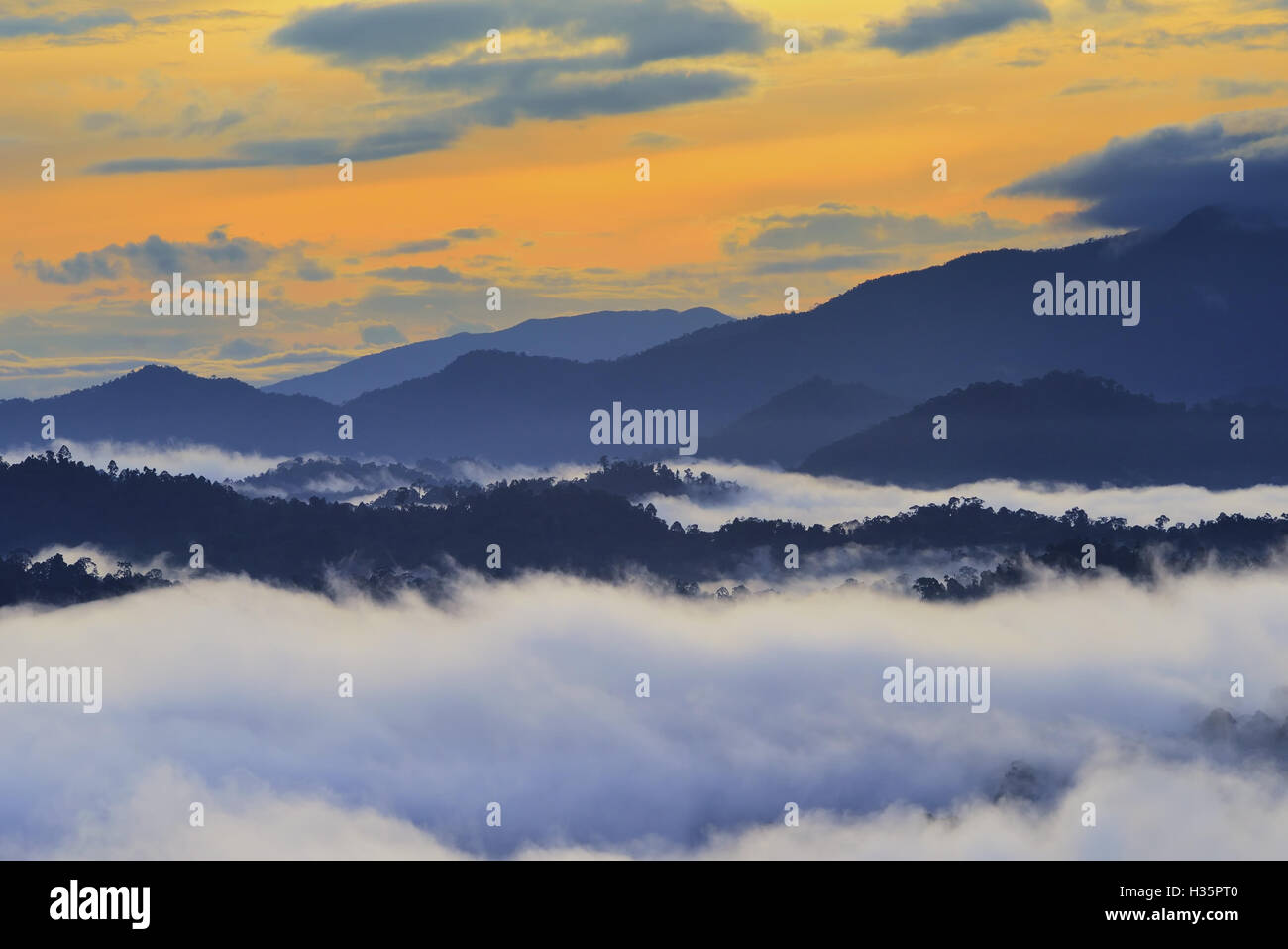 Sunrise sulla foresta di pioggia in Danum Valley Conservation Area in Lahad Datu, Sabah Borneo Malese. Foto Stock