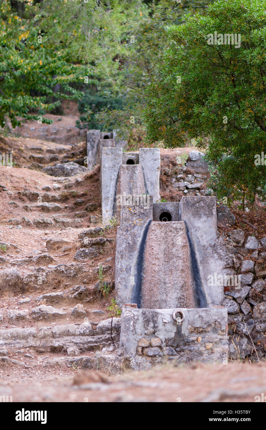 L'acqua secca modi in foresta, Fuente Jarapalo, nelle montagne di Mijas, Andalusia, Spagna, Alhaurin. Foto Stock